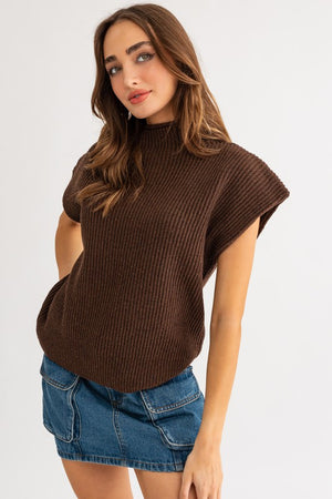 Be Bold Short Sleeve Turtle Neck Sweater in Fuchsia, Cream, Brown, & Black