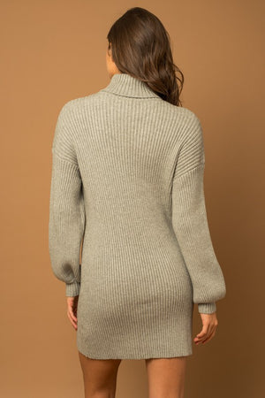 Elegant Embrace Turtleneck Sweater Dress in Olive & Heather Grey